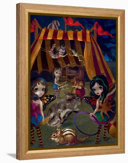 Fairy Circus-Jasmine Becket-Griffith-Framed Stretched Canvas