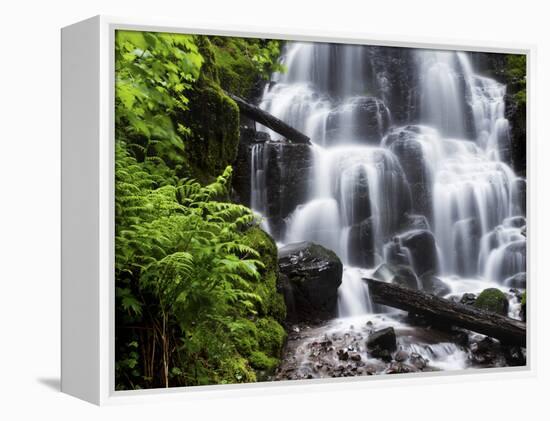 Fairy Falls in the Columbia River Gorge Outside of Portland, Or-Ryan Wright-Framed Premier Image Canvas