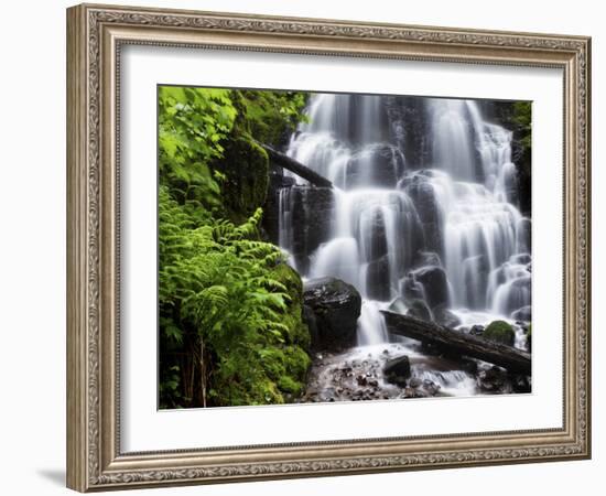 Fairy Falls in the Columbia River Gorge Outside of Portland, Or-Ryan Wright-Framed Photographic Print