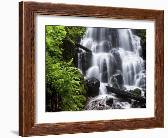 Fairy Falls in the Columbia River Gorge Outside of Portland, Or-Ryan Wright-Framed Photographic Print