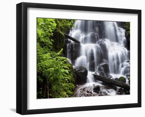 Fairy Falls in the Columbia River Gorge Outside of Portland, Or-Ryan Wright-Framed Photographic Print