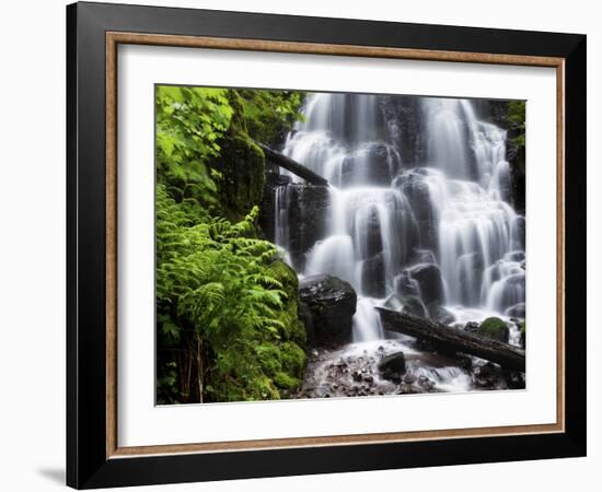 Fairy Falls in the Columbia River Gorge Outside of Portland, Or-Ryan Wright-Framed Photographic Print