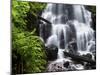 Fairy Falls in the Columbia River Gorge Outside of Portland, Or-Ryan Wright-Mounted Photographic Print