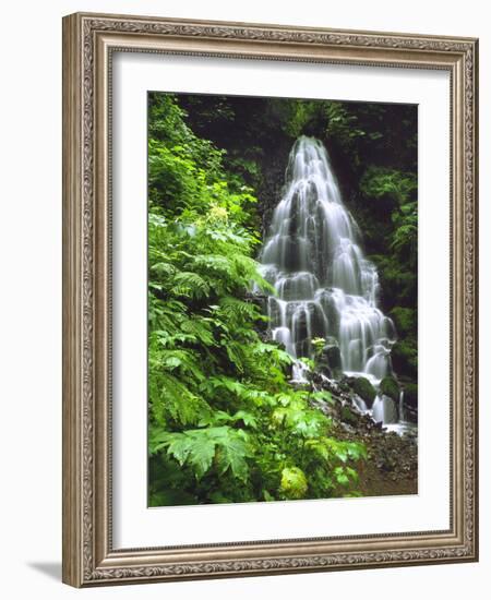 Fairy Falls Tumbling Down Basalt Rocks, Columbia River Gorge National Scenic Area, Oregon, USA-Steve Terrill-Framed Photographic Print