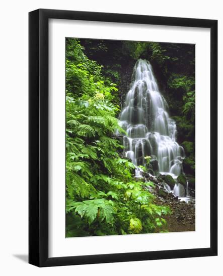 Fairy Falls Tumbling Down Basalt Rocks, Columbia River Gorge National Scenic Area, Oregon, USA-Steve Terrill-Framed Photographic Print