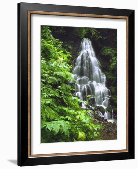 Fairy Falls Tumbling Down Basalt Rocks, Columbia River Gorge National Scenic Area, Oregon, USA-Steve Terrill-Framed Photographic Print