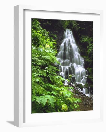 Fairy Falls Tumbling Down Basalt Rocks, Columbia River Gorge National Scenic Area, Oregon, USA-Steve Terrill-Framed Photographic Print