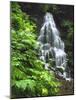 Fairy Falls Tumbling Down Basalt Rocks, Columbia River Gorge National Scenic Area, Oregon, USA-Steve Terrill-Mounted Photographic Print