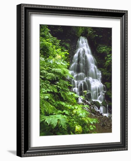 Fairy Falls Tumbling Down Basalt Rocks, Columbia River Gorge National Scenic Area, Oregon, USA-Steve Terrill-Framed Photographic Print