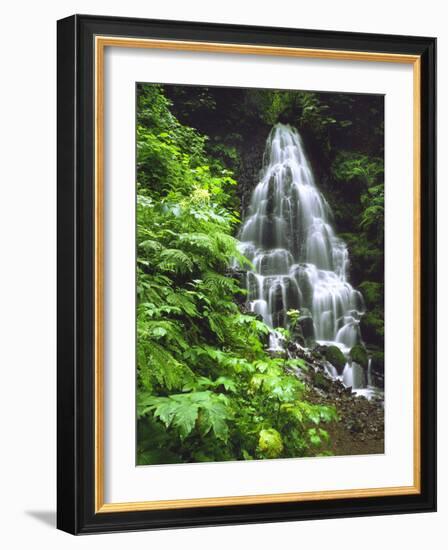 Fairy Falls Tumbling Down Basalt Rocks, Columbia River Gorge National Scenic Area, Oregon, USA-Steve Terrill-Framed Photographic Print