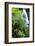 Fairy Falls, wildflowers, Columbia Gorge, Oregon-Stuart Westmorland-Framed Photographic Print