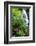 Fairy Falls, wildflowers, Columbia Gorge, Oregon-Stuart Westmorland-Framed Photographic Print