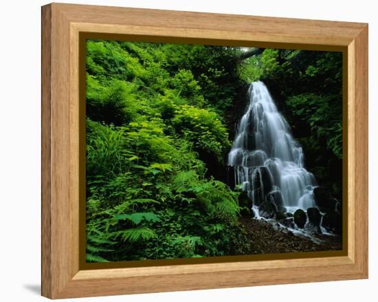 Fairy Falls-Bill Ross-Framed Premier Image Canvas