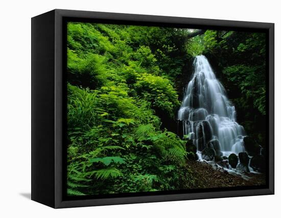 Fairy Falls-Bill Ross-Framed Premier Image Canvas