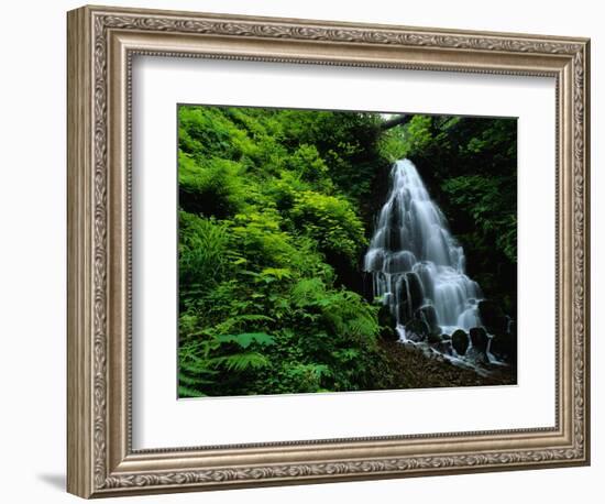 Fairy Falls-Bill Ross-Framed Photographic Print