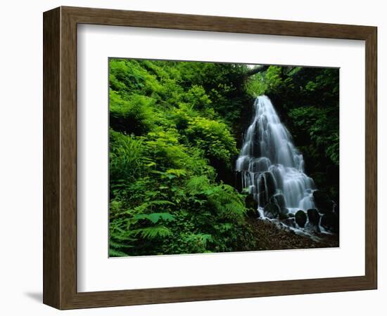 Fairy Falls-Bill Ross-Framed Photographic Print