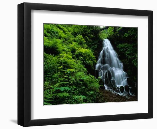 Fairy Falls-Bill Ross-Framed Photographic Print