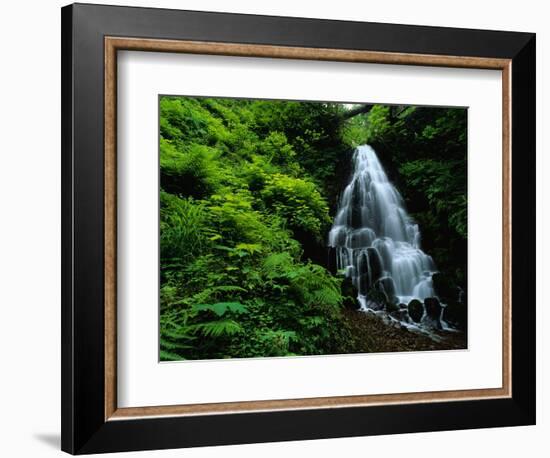 Fairy Falls-Bill Ross-Framed Photographic Print