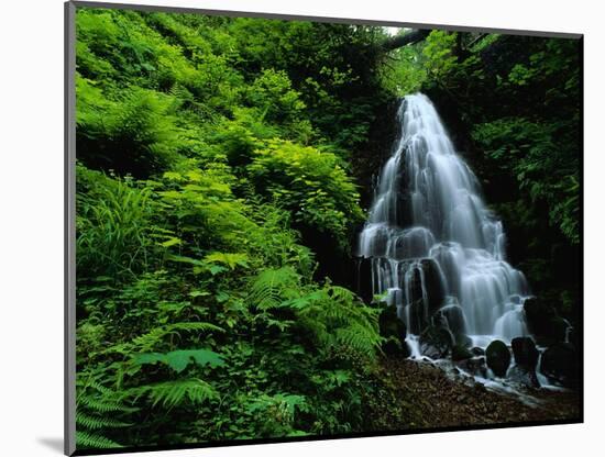 Fairy Falls-Bill Ross-Mounted Photographic Print