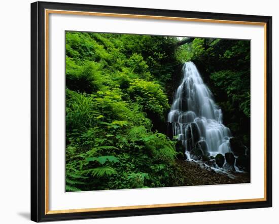 Fairy Falls-Bill Ross-Framed Photographic Print