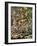 Fairy Feller's Master-Stroke-Science Source-Framed Giclee Print