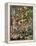 Fairy Feller's Master-Stroke-Science Source-Framed Premier Image Canvas