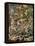 Fairy Feller's Master-Stroke-Science Source-Framed Premier Image Canvas