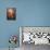 Fairy Secrets-Judy Mastrangelo-Mounted Giclee Print displayed on a wall