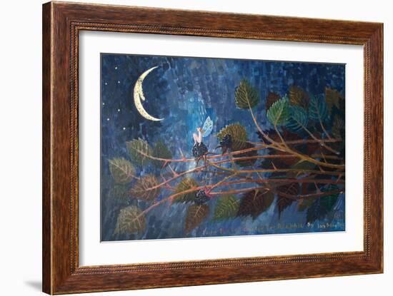 Fairy Snowdrop, 2004-Ian Bliss-Framed Giclee Print