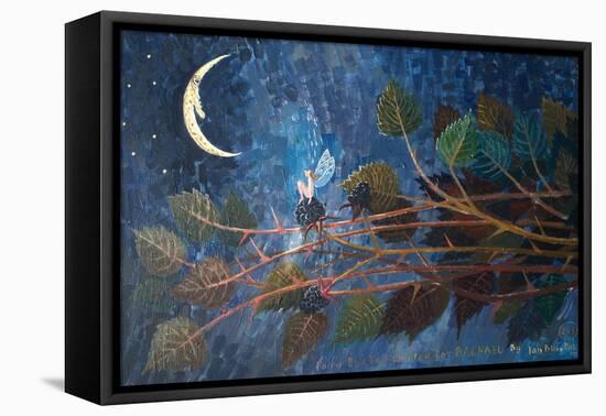 Fairy Snowdrop, 2004-Ian Bliss-Framed Premier Image Canvas