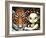 Fairy Taming a Tiger-Jasmine Becket-Griffith-Framed Art Print