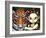 Fairy Taming a Tiger-Jasmine Becket-Griffith-Framed Art Print