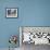 Fairy Tern at Cousine Island Beach-Martin Harvey-Framed Photographic Print displayed on a wall