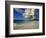 Fairy Tern at Cousine Island Beach-Martin Harvey-Framed Photographic Print