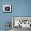 Fairy Tern in Flight, Aride Island-Mark Hannaford-Framed Photographic Print displayed on a wall