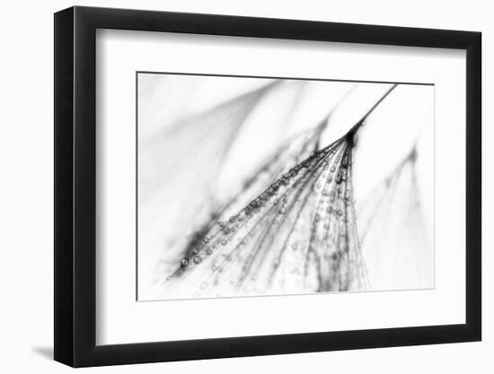 Fairy-Ursula Abresch-Framed Photographic Print