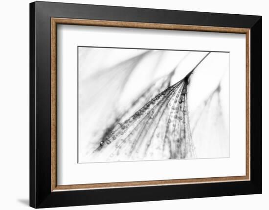 Fairy-Ursula Abresch-Framed Photographic Print