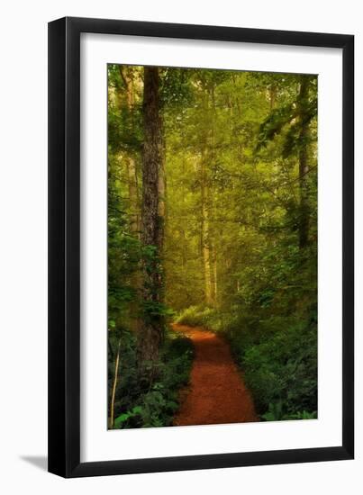 Fairytale Path-Natalie Mikaels-Framed Photographic Print