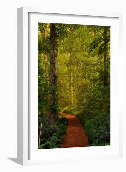 Fairytale Path-Natalie Mikaels-Framed Photographic Print