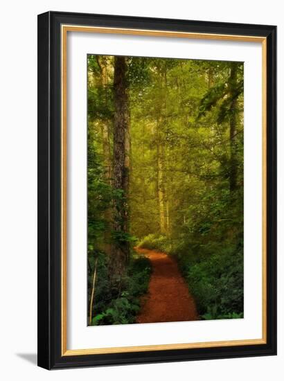 Fairytale Path-Natalie Mikaels-Framed Photographic Print