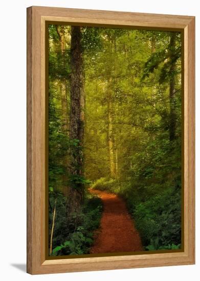 Fairytale Path-Natalie Mikaels-Framed Premier Image Canvas