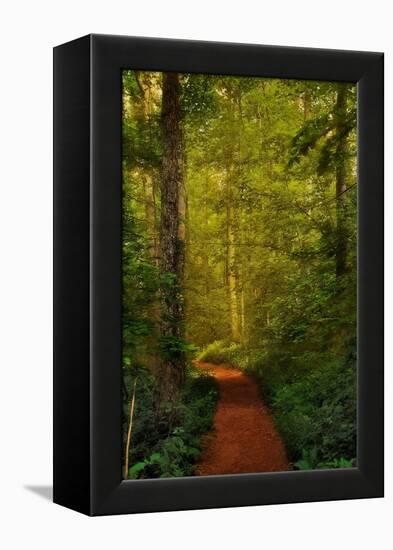 Fairytale Path-Natalie Mikaels-Framed Premier Image Canvas