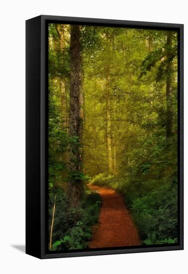 Fairytale Path-Natalie Mikaels-Framed Premier Image Canvas