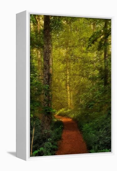 Fairytale Path-Natalie Mikaels-Framed Premier Image Canvas