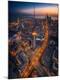 Premium Giclee Print
