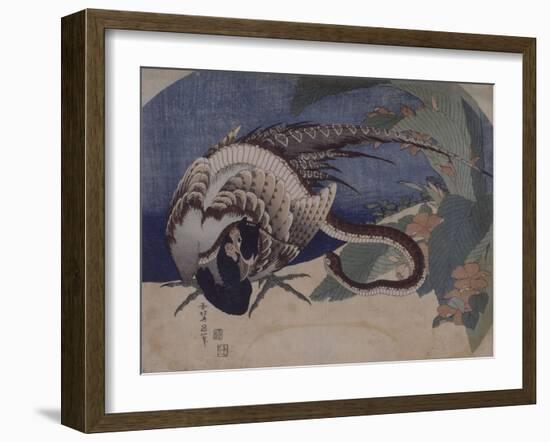 Faisan et serpent-Katsushika Hokusai-Framed Giclee Print