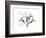 Faith Oleander-Albert Koetsier-Framed Art Print