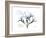 Faith Oleander-Albert Koetsier-Framed Art Print