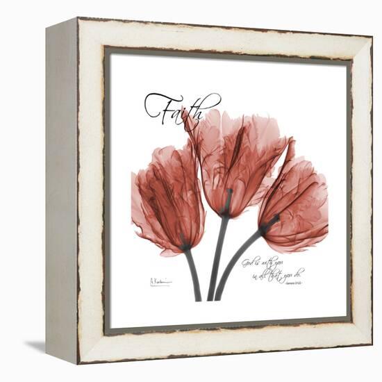 Faith Tulips-Albert Koetsier-Framed Stretched Canvas