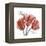 Faith Tulips-Albert Koetsier-Framed Stretched Canvas